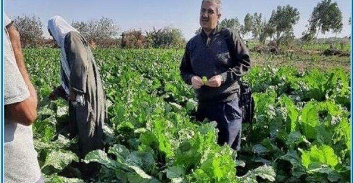 فريق إرشادي ريفي بمديرية زراعة الجيزة لمحصول بنجر السكر 1 فريق إرشادي ريفي بمديرية زراعة الجيزة لمحصول بنجر السكر