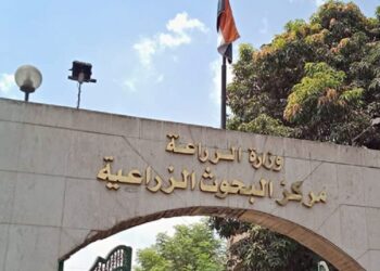 مركز البحوث الزراعية