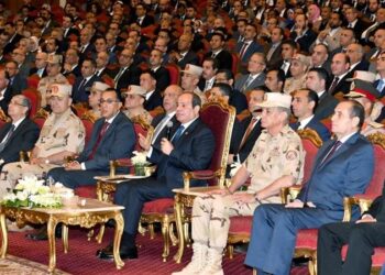المشروعات التنموية