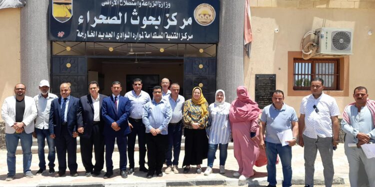 زراعة الوادي الجديد تطلق الحملة الإرشادية لتحسين سلاسل قيمة محصول عباد الشمس الزيتي 1 الوادي الجديد