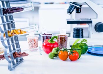 تكنولوجيا الأغذية