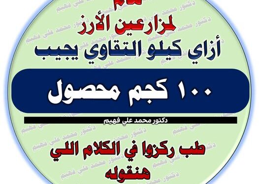 محصول الأرز .. د.محمد فهيم يحدد 7 توصيات للمزارعين للحصول على إنتاجية جيدة 1 محصول الأرز