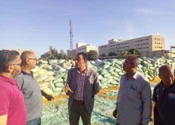 زراعة أسيوط