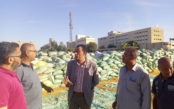 زراعة أسيوط