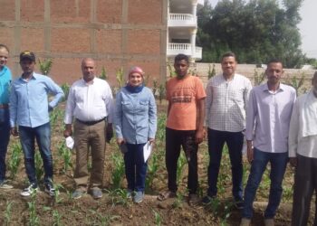 زراعة أسيوط