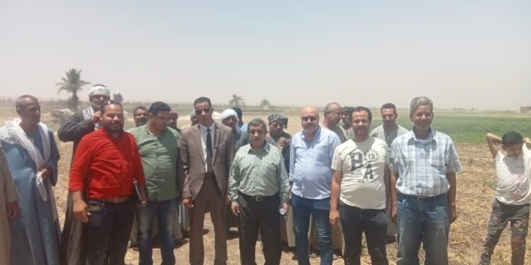 زراعة أسيوط تنظم يوم حصاد للقمح ضمن أنشطة مشروع "نظم الأمن الغذائي" بالصعيد 1 زراعة أسيوط