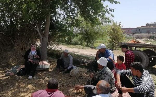 زراعة الإسكندرية تنظم فريق إرشادي بقرية أبيس ..لزراعات الذرة الشامية والأرز 1 زراعة الإسكندرية