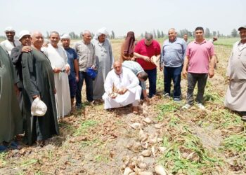 زراعة البحيرة