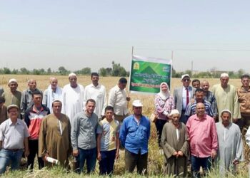 زراعة البحيرة