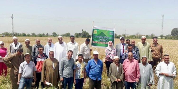 لأول مرة..تطبيق نتائج المشروع القومي" لإنتاج خرائط خصوبة التربة" بمديرية زراعة البحيرة  1 زراعة البحيرة