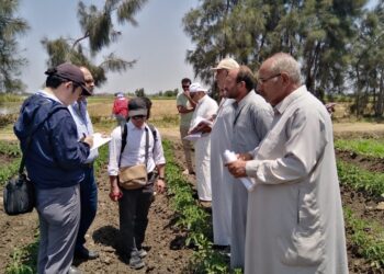 زراعة الدقهلية