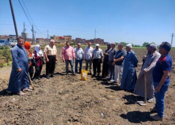 زراعة الدقهلية