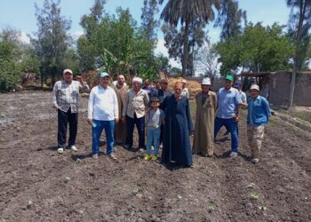 زراعة الشرقية