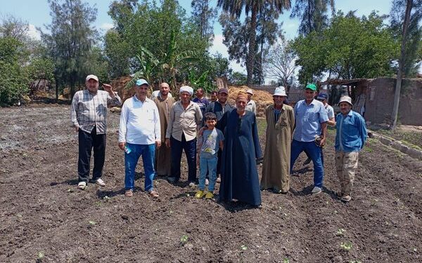 زراعة الشرقية تعقد ندوات إرشادية عن محصول القطن 1 زراعة الشرقية