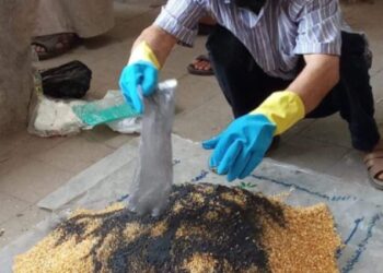 زراعة الشرقية