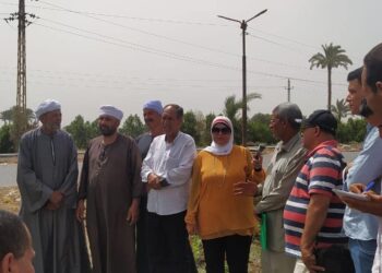 زراعة الفيوم