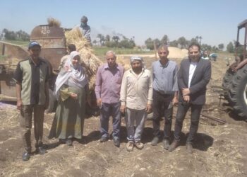 زراعة المنيا