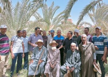 زراعة الوادي الجديد