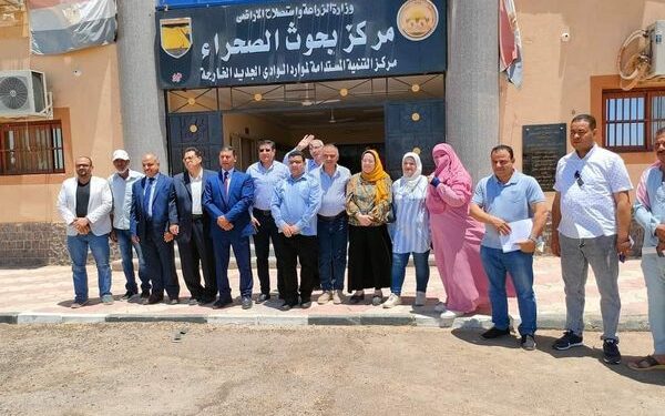 زراعة الوادي الجديد : ندوة عن زراعة محصول دوار الشمس الزيتى بمركز الخارجة 1 زراعة الوادي الجديد