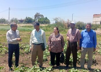 فريق إرشادي بزراعة بني سويف