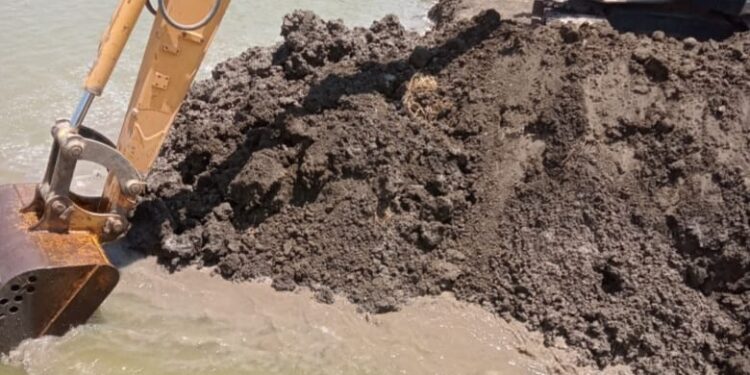 زراعة بورسعيد: إزالة عدد ١٠ حالات تعدي لمزارع سمكية بمساحة ٥٠ فدان 1 زراعة بورسعيد