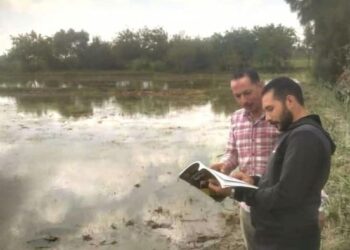 زراعة بورسعيد