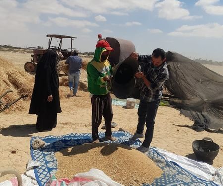 زراعة جنوب سيناء