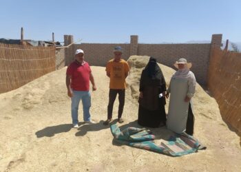 زراعة جنوب سيناء