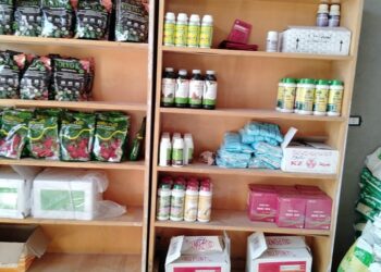 زراعة جنوب سيناء توفر احتياجات المزارعين بمدينة نويبع