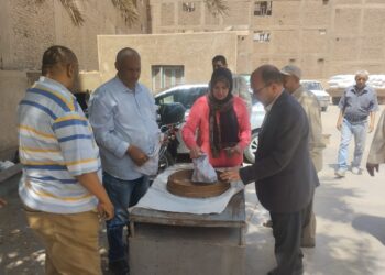 زراعة سوهاج