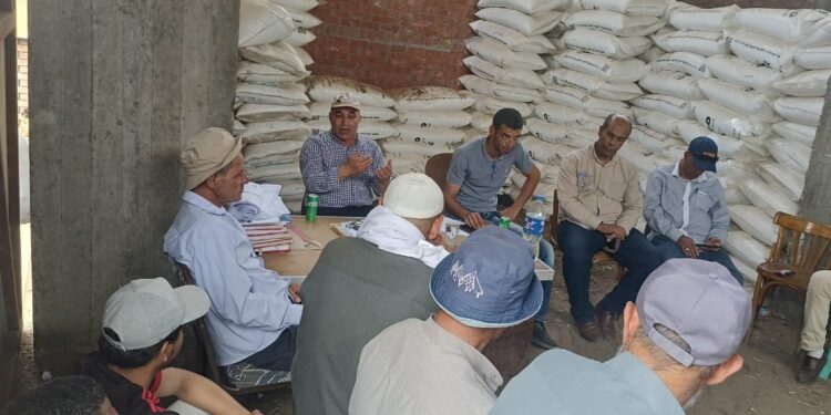 زراعة كفر الشيخ تتابع زراعات القطن ..و حملة القضاء على القوارض 1 زراعة كفر الشيخ