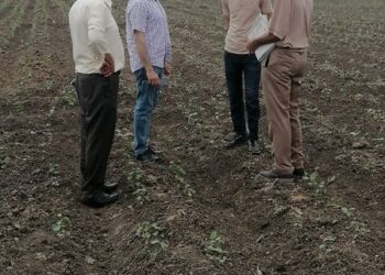 زراعة كفر الشيخ