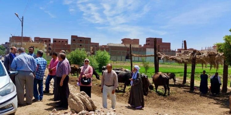 زراعة المنيا تجري تدقيقا ميدانيا لحصر الثروة الحيوانية بـ3قرى 1 لجان زراعة المنيا تتابع حصر الحيوانات