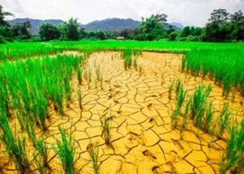 الطقس المتطرف