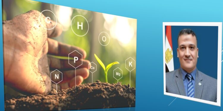 د. مجدي السماحي يكتب عن علاقة الحشرات بالعناصر 1 الحشرات