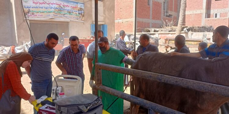 التناسليات الحيوانية ينظم قافلة بيطرية مجانية لمحافظة المنوفية 1 التناسليات الحيوانية