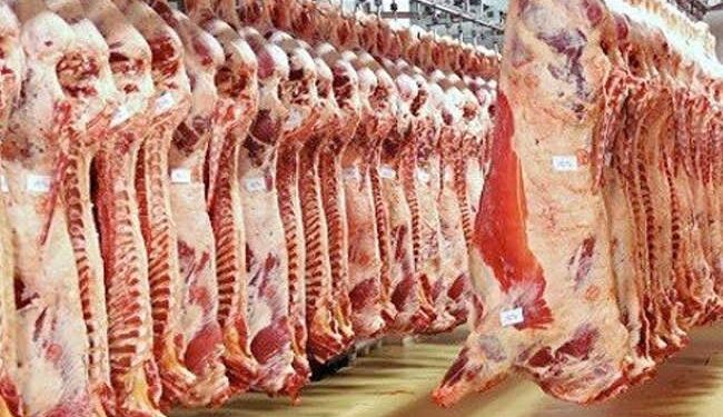 "المجازر" تستقبل 31 ألف أضحية خلال أيام عيد الأضحى المبارك 1 المجازر