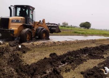 زراعة الغربية