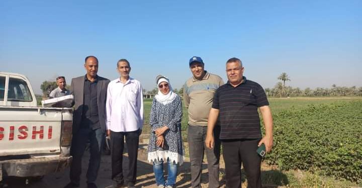 زراعة الفيوم تطلق أولى طفيل الترايكوجراما بسنورس بمساحة ١٥٩٥فدان 1 مديرية زراعة الفيوم