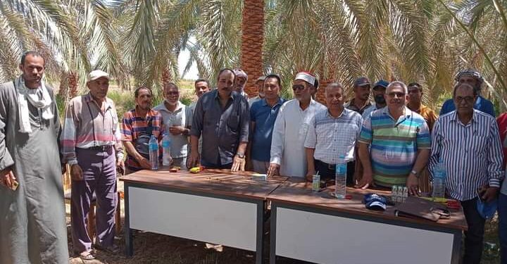 زراعة الوادي الجديد تطلق المرحلة الثانية من مبادرة مكافحة سوسة النخيل 1 زراعة الوادي الجديد