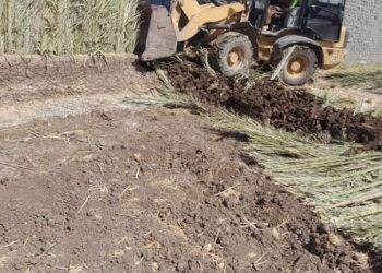 زراعة الفيوم تزيل حالات التعدي على الأراضي الزراعية