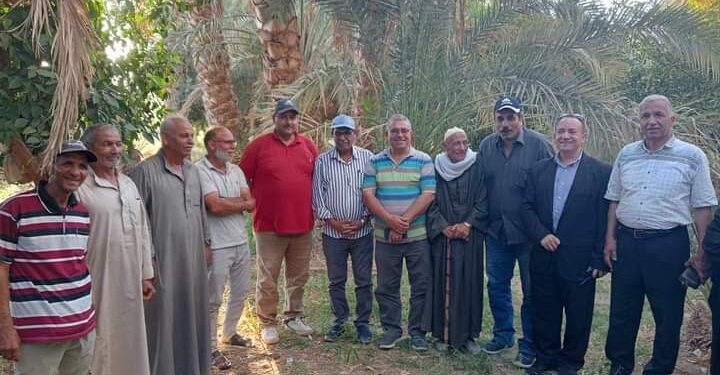 زراعة الوادي الجديد تعقد 3 ندوات حقلية لمكافحة سوسة النخيل 1 ندوة إرشادية عن مكافحة سوسة النخيل بالفرافرة بزراعة الوادي الجديد