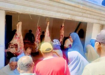 زراعة جنوب سيناء تنفذ مبادرة لتوفير السلع