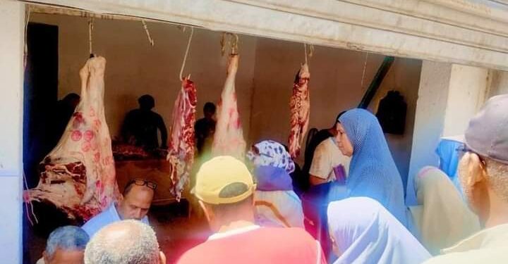 زراعة جنوب سيناء تنفذ مبادرة "خير مزارعنا" لتوفير السلع بأسعار مخفضة 1 زراعة جنوب سيناء تنفذ مبادرة لتوفير السلع