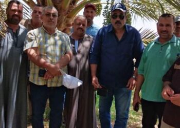 زراعة الوادي الجديد تعقد ندوة إرشادية عن النخيل