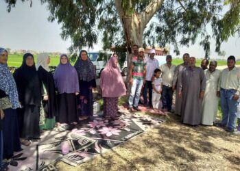 مدرسة حقلية لمزارعي الأرز بمديرية زراعة كفر الشيخ