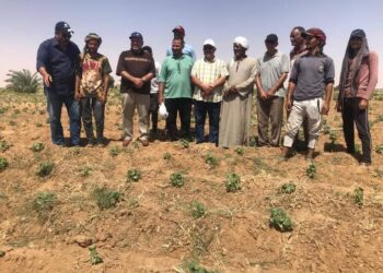 ندوة إرشادية عن محصول القطن بمديرية زراعة الوادي الجديد