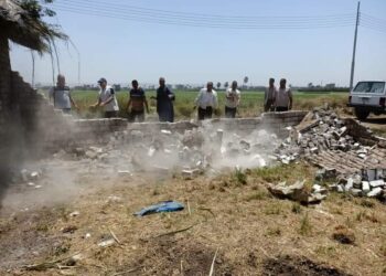 زراعة أسيوط تزيل حالة تعدي بمركز صدفا