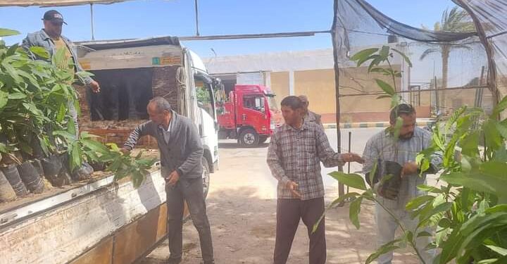 «زراعة جنوب سيناء » زراعة ٨٠ ألف شجرة بالمديرية 1 زراعة جنوب سيناء تتابع تنفيذ مبادرة 100مليون شجرة