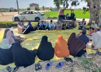 زراعة كفر الشيخ نفذت مدرسة حقلية لمزارعي الأرز